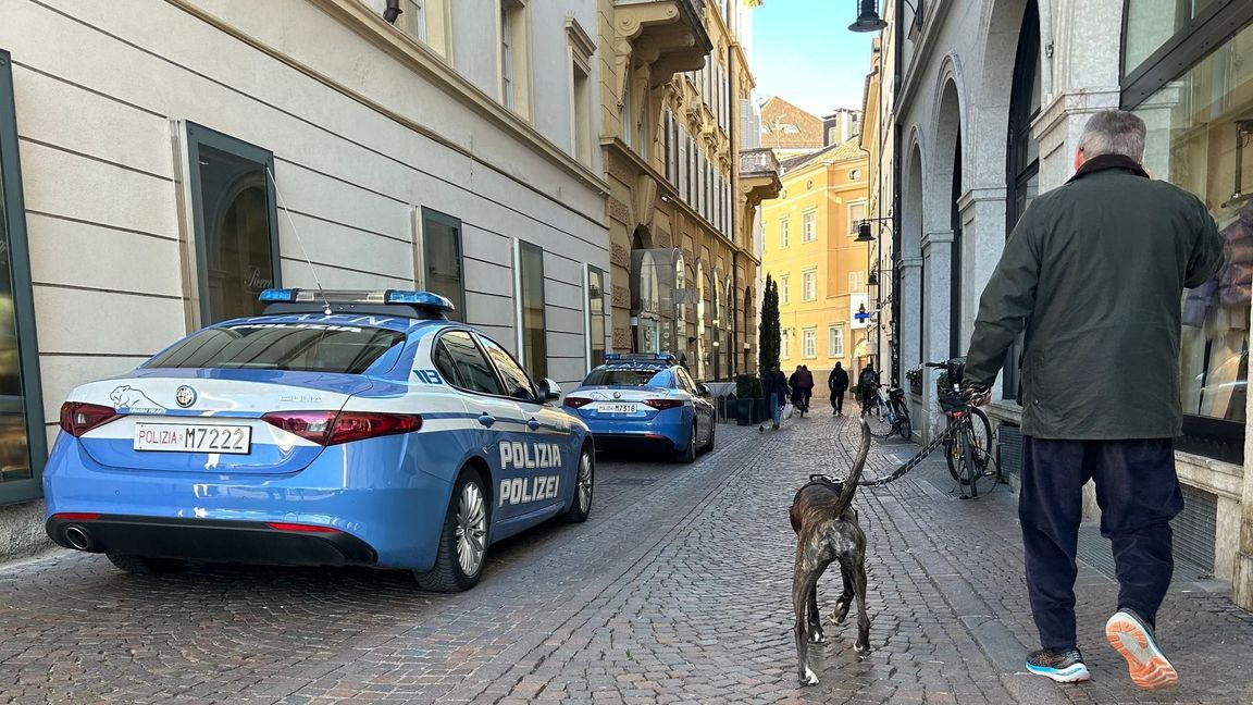 Südtirol will künftig von Hundehaltern eine Art Kurtaxe für ihre Vierbeiner verlangen. (Symbolbild)