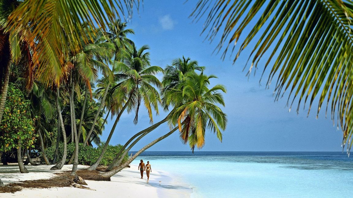 Besonders in der kalten Jahreszeit wächst bei vielen die Sehnsucht nach Sonne, Meer und Palmen.