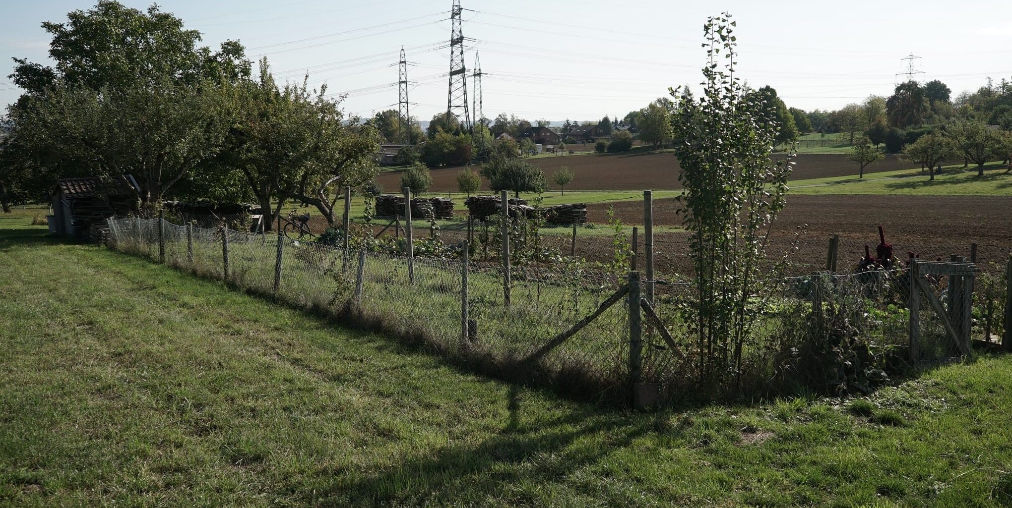 Auch der Besitzer dieses Grundstücks im Darmsheimer Landschaftsschutzgebiet hat Post vom Landratsamt bekommen.