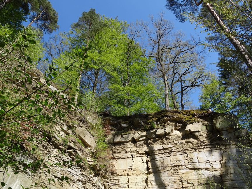 Der Steinbruch am Leinbachsträssle