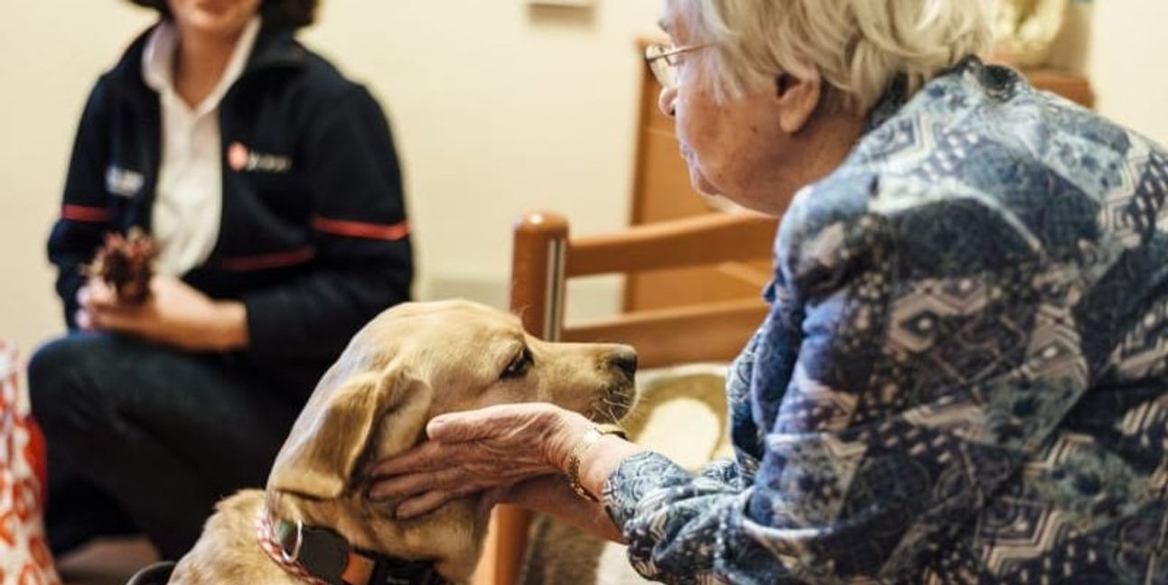 Immer auch ein bisschen Therapie: die Besuchshunde der Malteser.