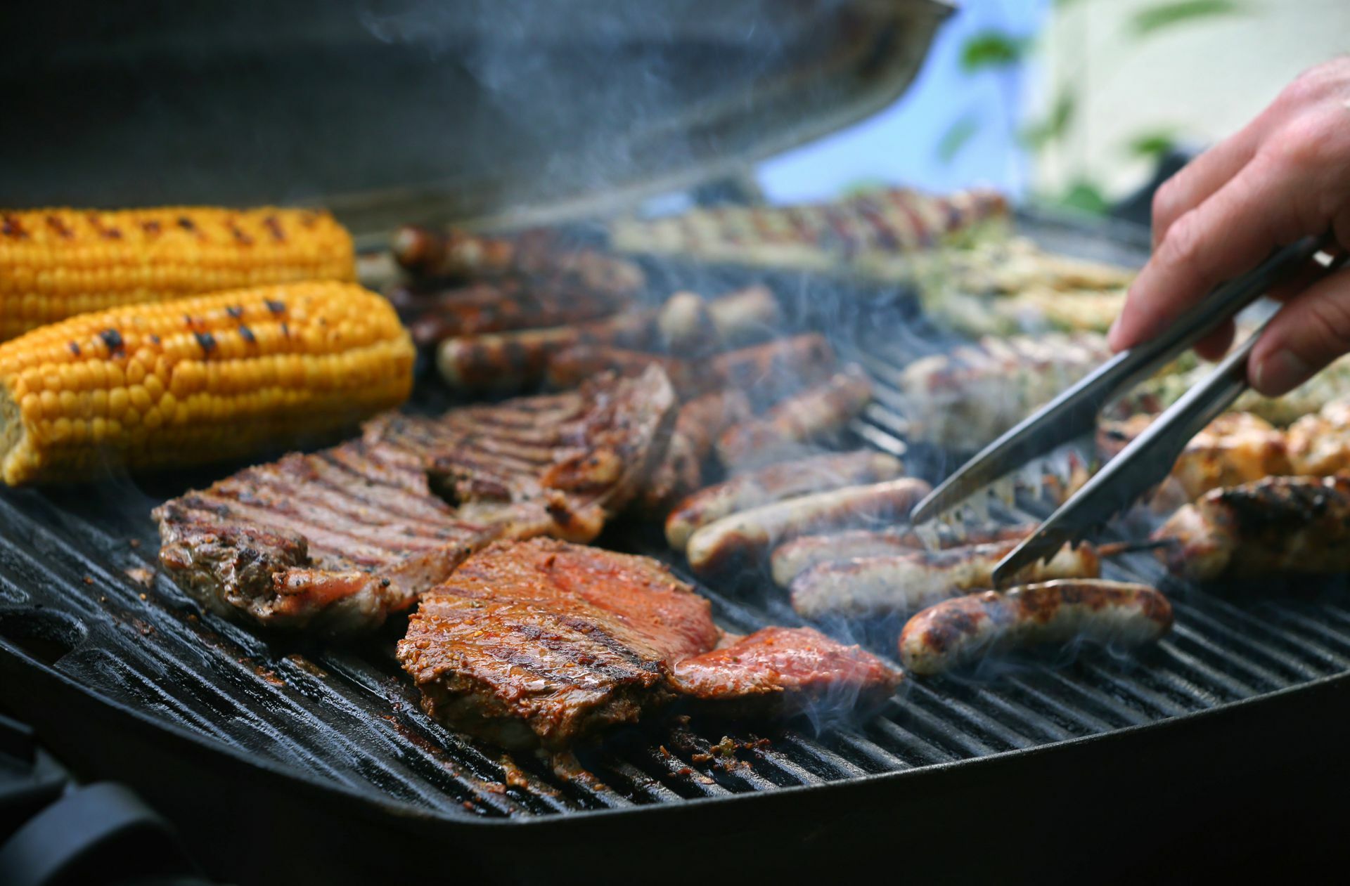 Noch liegt auf den Grills der Welt  Fleisch von Tieren – doch Forscher arbeiten an Alternativen aus Zellkulturen.