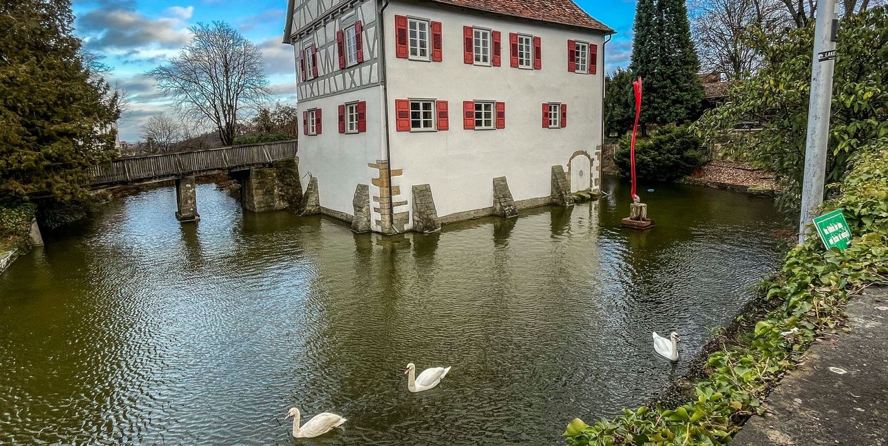 Schwanensee in Holzgerlingen.