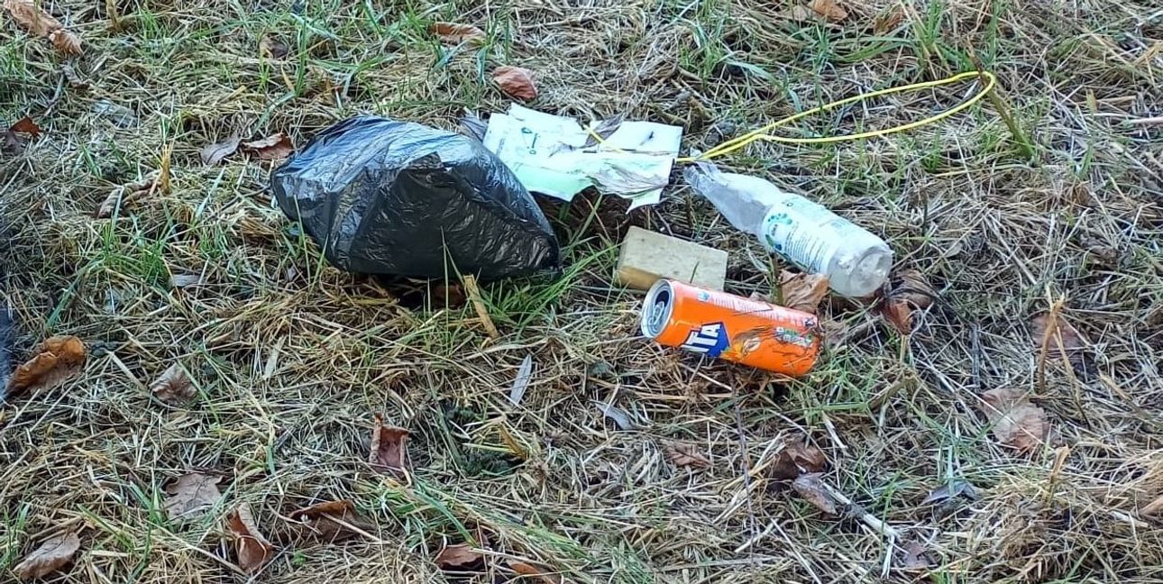 Dauerärgernis wilder Müll.