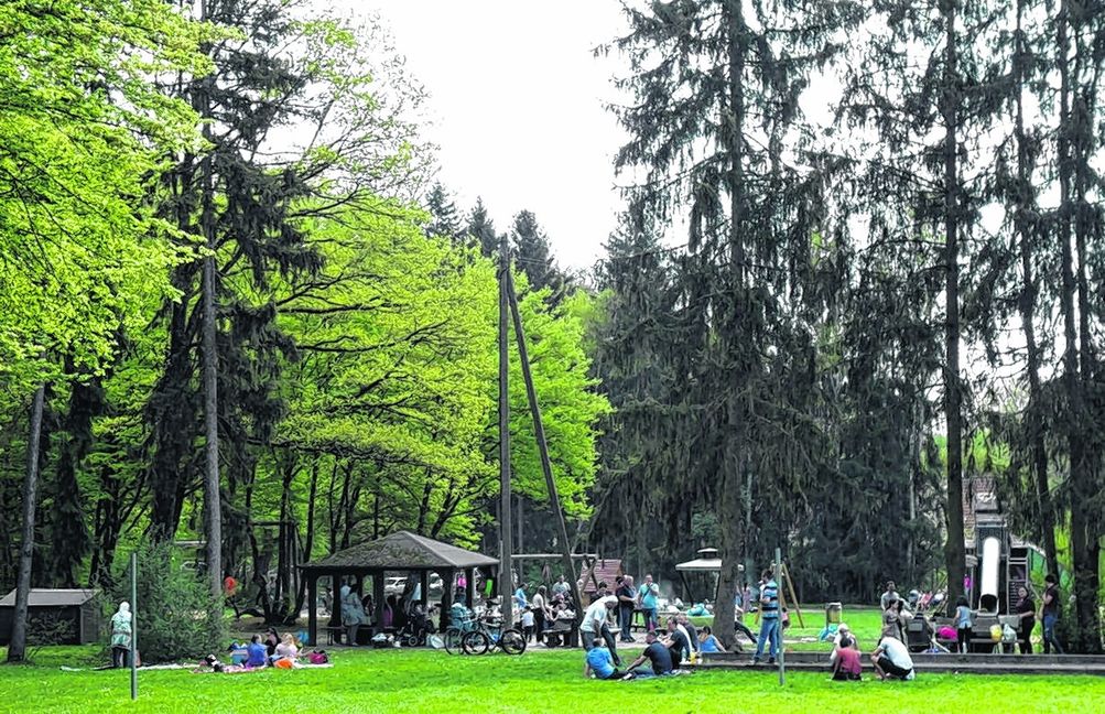 Bei gutem Wetter ist hier immer viel los. In der Vergangenheit gab es beim Grillplatz in der Viehweide Beschwerden über Lärm, wildes Parken und bedenkliche hygienische Zustände. Bild: Staber