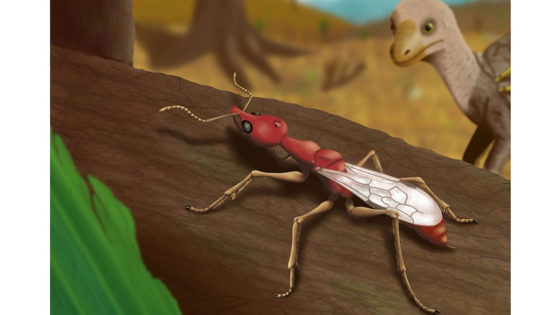 So könnte die kreidezeitliche Höllenameise Vulcanidris cratensis  einst ausgesehen haben.