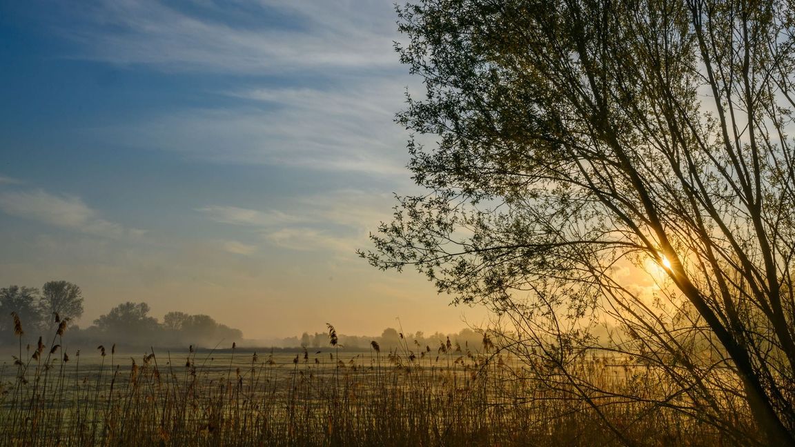 Nach einem sonnigen Start in den Ostersonntag droht es in Teilen Deutschlands, ungemütlich zu werden.