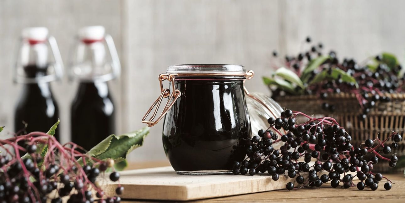 Die tiefvioletten Früchte des Schwarzen Holunders enthalten viele Vitamine und sekundäre Pflanzenstoffe