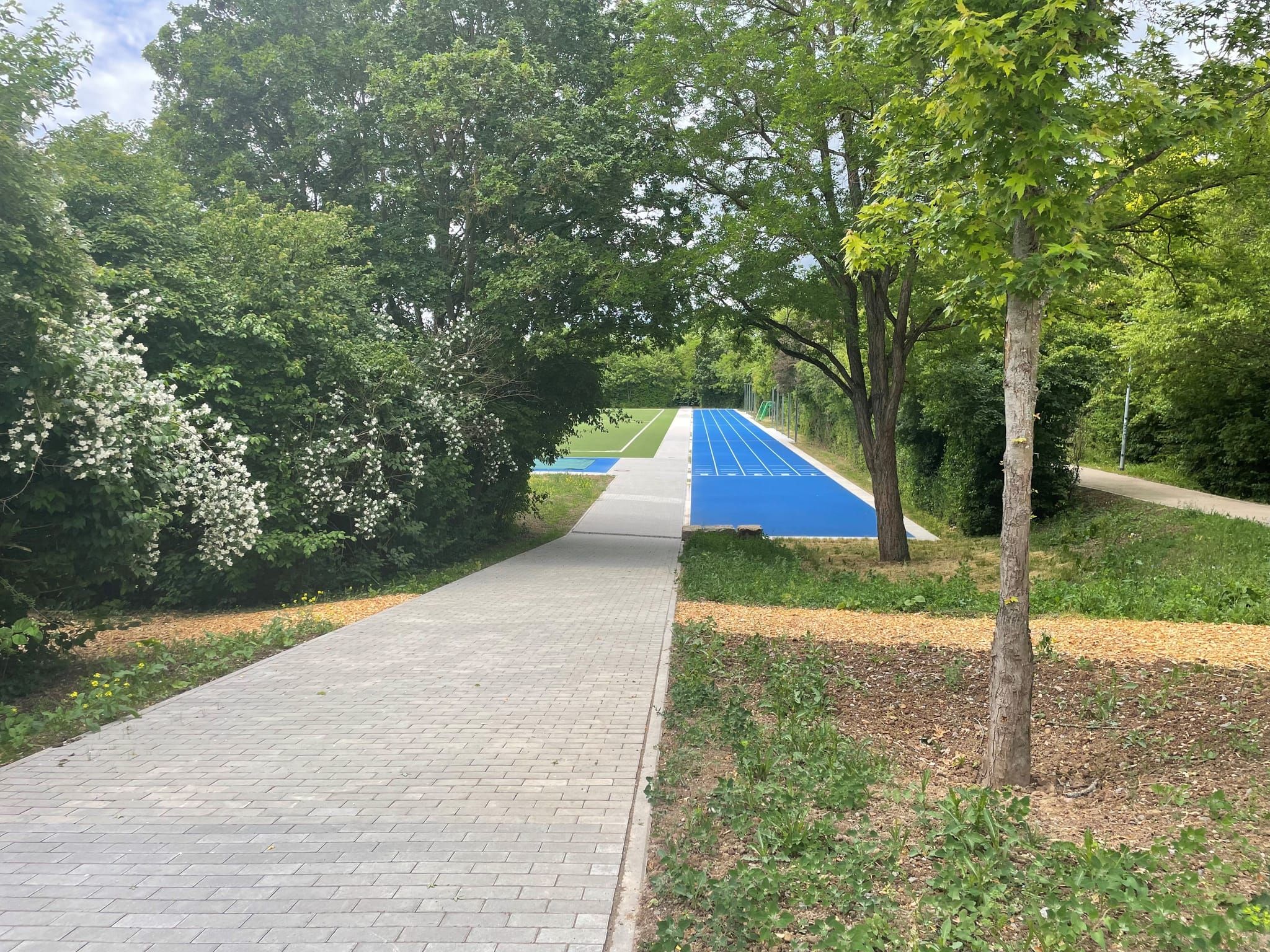 Finnenbahn, Laufbahn und Weg.