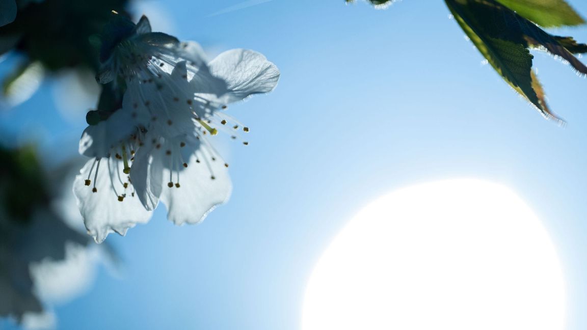 Vielerorts zeigt sich am Ostermontag auch immer wieder die Sonne.
