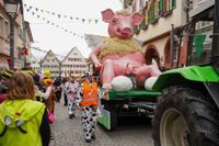 Was für ein Spektakel: Den Fasnets-Umzug in Weil der Stadt wollten 30.000 Besucher sehen.