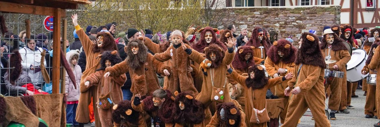 Diese Bären sind nicht gefährlich, die wollen wirklich nur spielen.