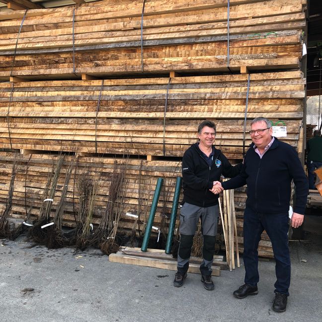 Klaus Wohlbold (ASV) und Steffen Rathke (Holzwerk Keck) bei der Übergabe der Gehölze.  Bild: z