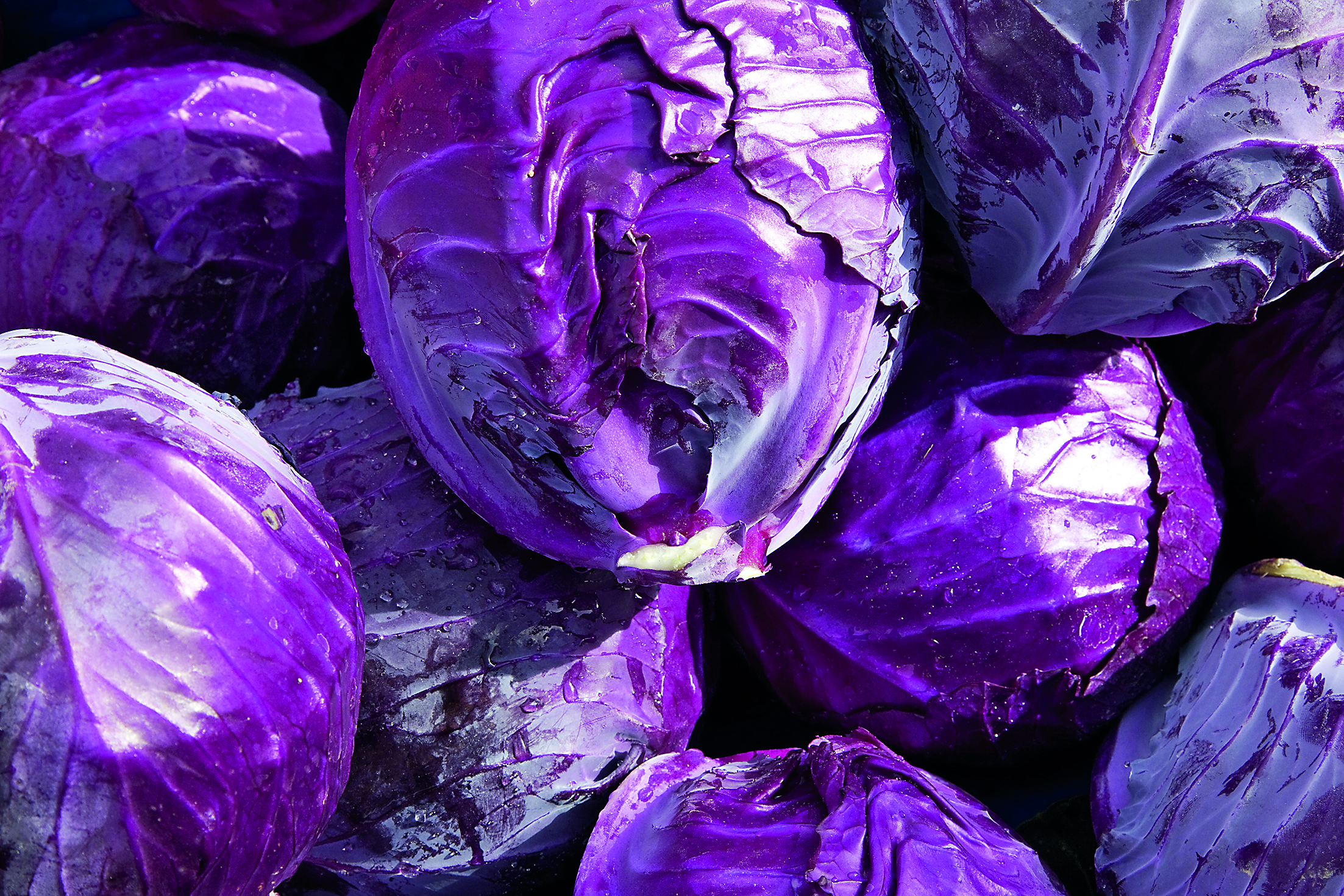 Blaukraut gehört zu den beliebtesten Wintergemüsen der Deutschen. Bild: Wilhelmi/Adobe Stock