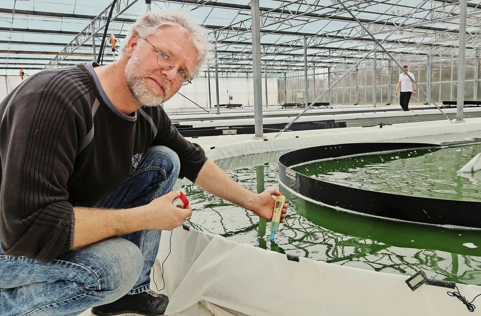 Eine Algenzuchtanlage im niedersächsischen Rockstedt.
Foto: Steve Przybilla