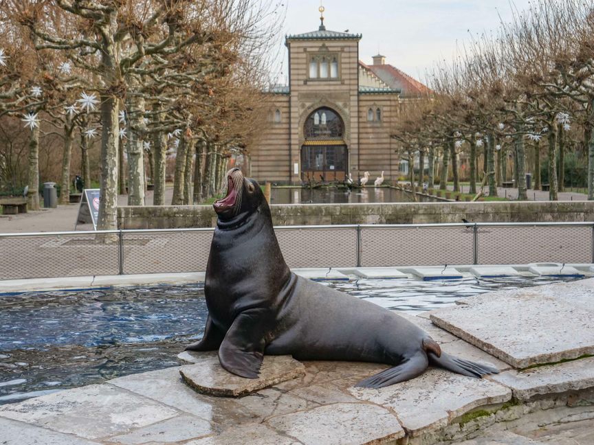 Wilhelma-Start in die Winterferien 2021