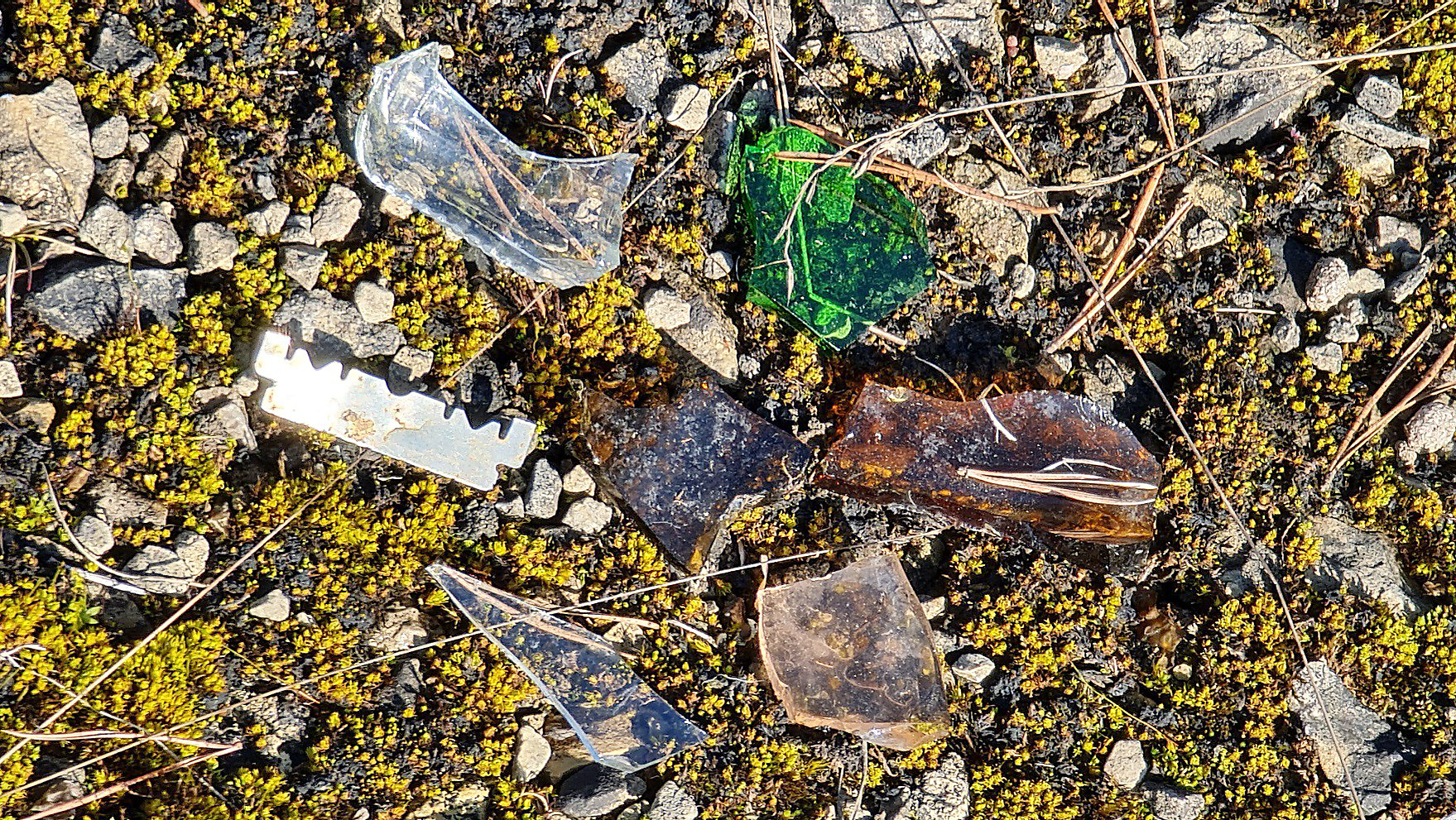 Scherben und scharfe Klingen sind nicht nur unschön anzuschauen, sondern können für Mensch und Tier sehr gefährlich werden.    Bild: z