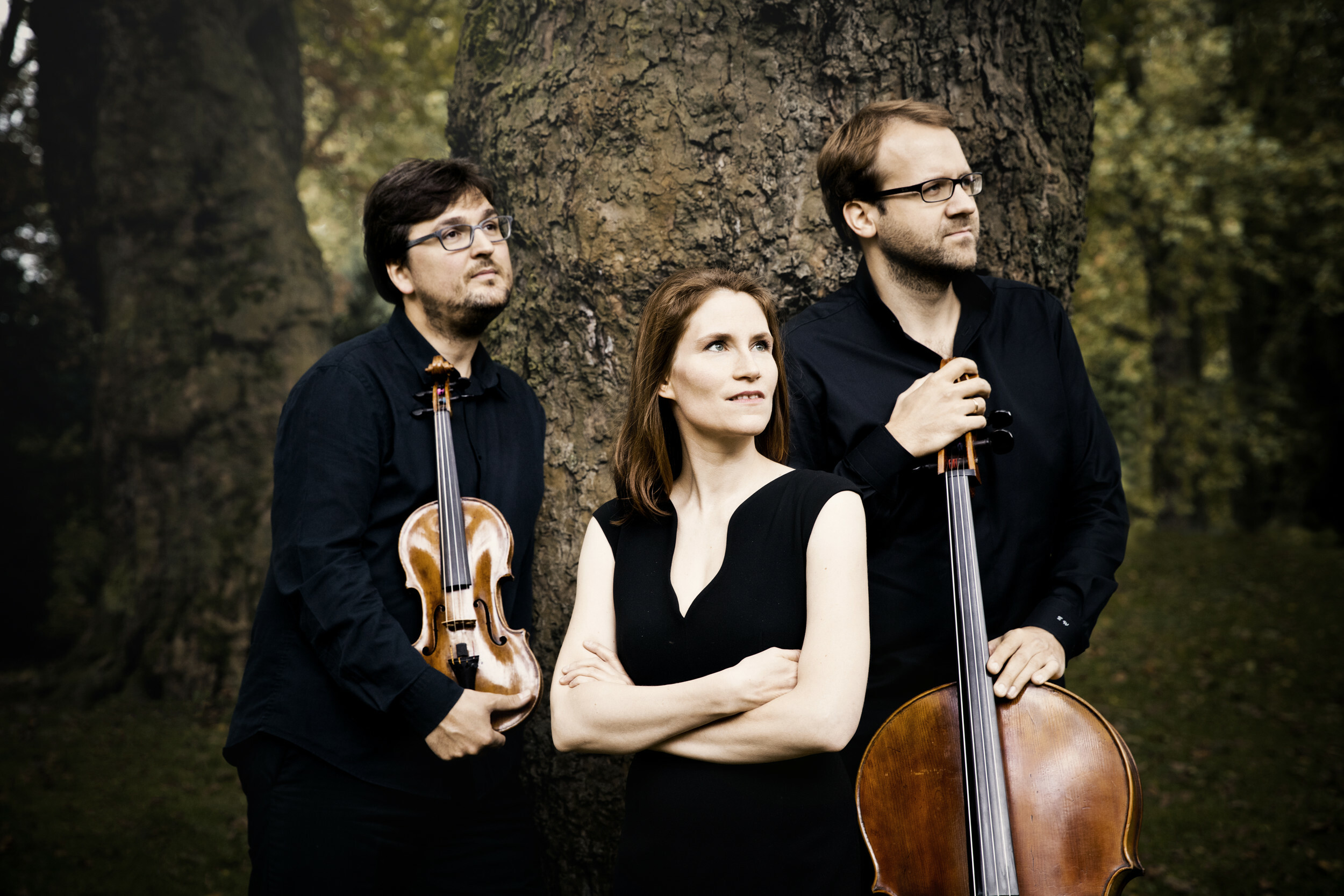 Das Morgenstrn Trio gestaltet am 6. August den Abschluss des Festivals. Bild: z