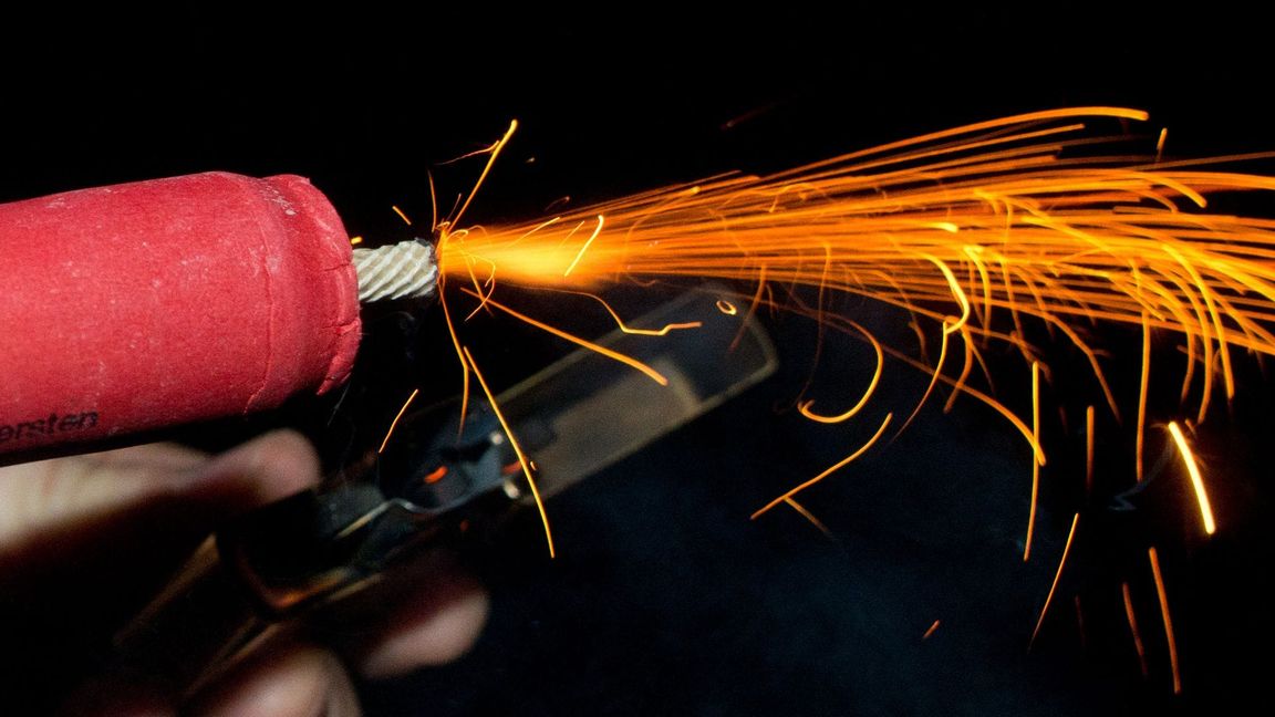 Genaue Zahlen dazu, wie viele Tiere in der Silvesternacht in panischer Flucht verletzt werden oder sterben, gibt es nicht. (Archivbild)