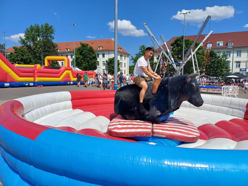 Mutige wagten einen Ritt auf dem Bullen