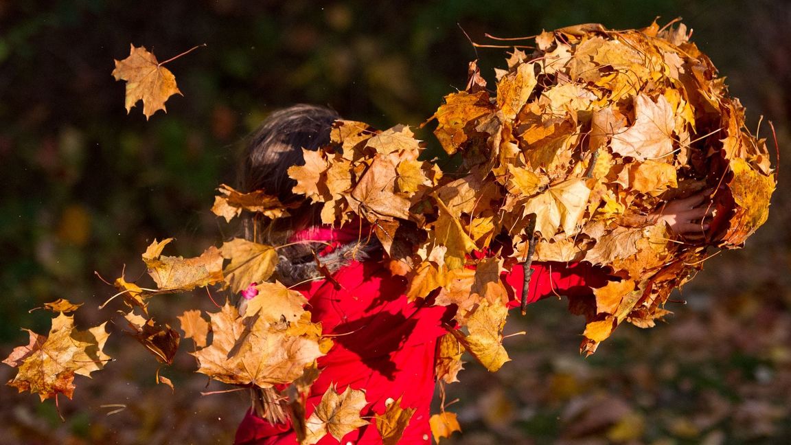 Kindern fehlt es zum Teil an Freiräumen, aber auch an geeigneten Plätzen fürs Spielen. (Archivbild)