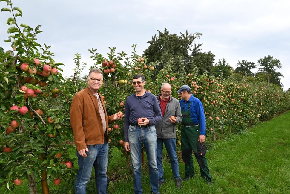 Andreas Messmer, Helmut Werner und Siegmund Kemmler gehören zu den Apfelbauern im Kreis. Manfred Nuber (links) ist der Ansprechpartner für Obst- und Gartenbau im Landkreis.
