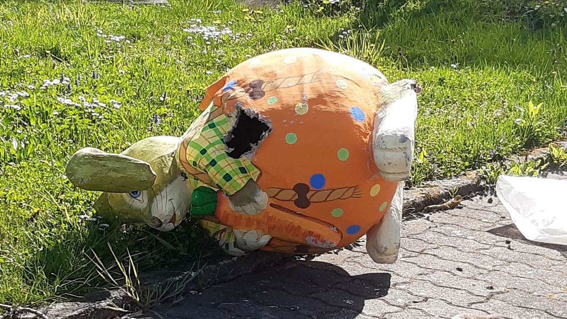 In dem Pappmasché-Osterhasen hat sich eine Waschbärin mit drei Jungen eingenistet.