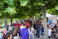 Auftakt zu Schlemmen am See