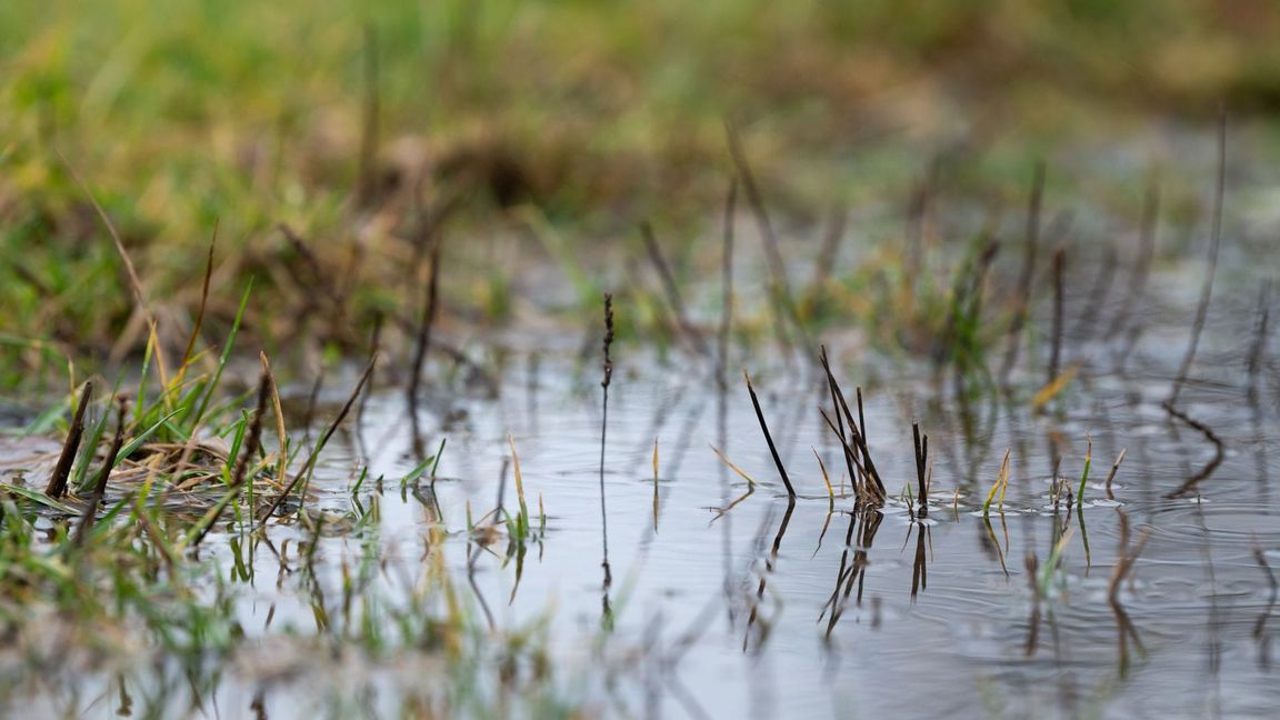 Es droht Hochwasser (Symbolbild).
