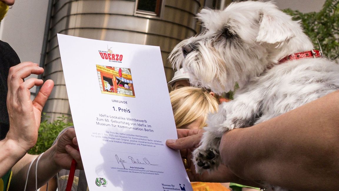 Der beste Idefix-Doppelgänger? Sieger-Hund Polly erhielt die Idefix-Lookalike-Contest-Urkunde. (Archivbild)