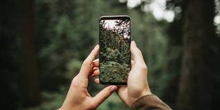 Beim InstaWalk durch den Holzgerlinger Stadtwald treffen Social Media, Fotografie und Waldwissen aufeinander.