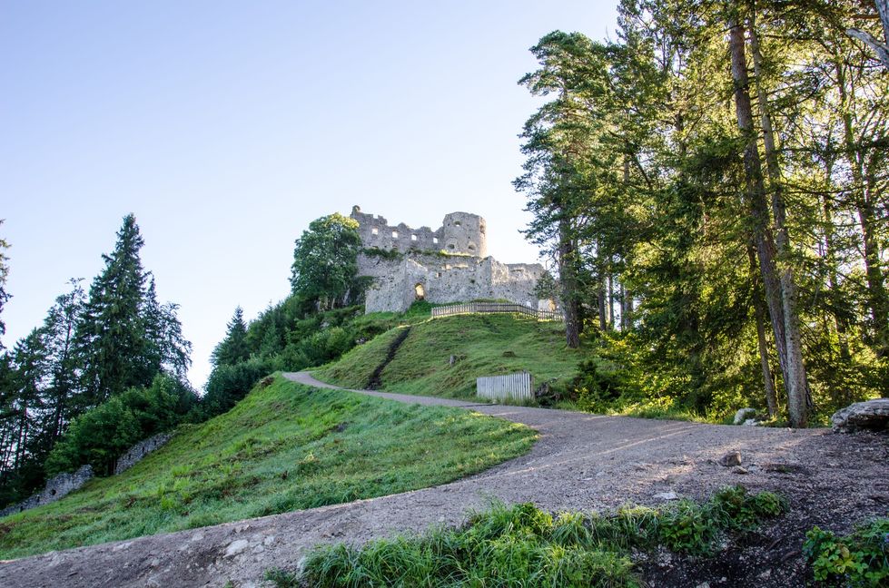 Hoch oben trohnt die Burgruine Ehrenberg.