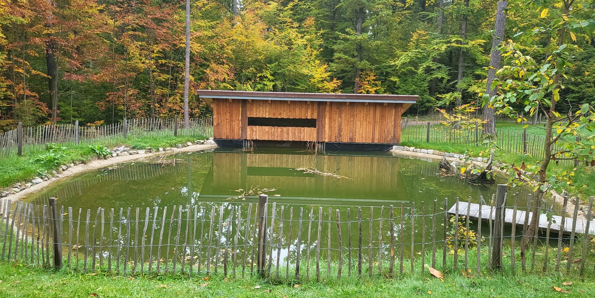 Das Teichkino am Waldzentrum ermöglicht Einblicke in die heimische Unterwasserwelt.