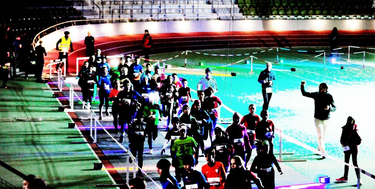 Im Glaspalast leuchten die Weihnachtssterne.Bild: Photostampe