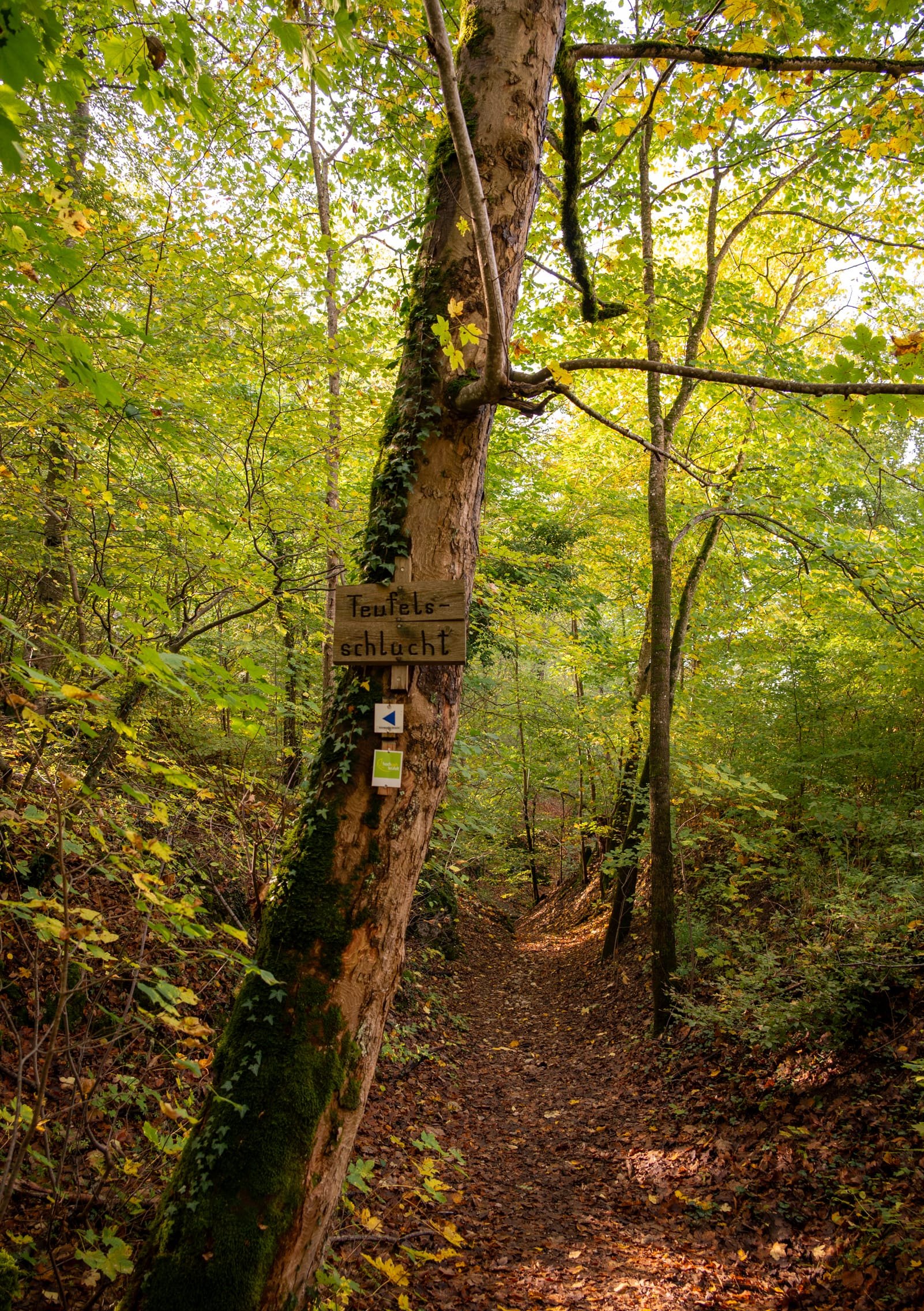 Die Teufelsschlucht hat diesem Premiumwanderweg ihren Namen gegeben.