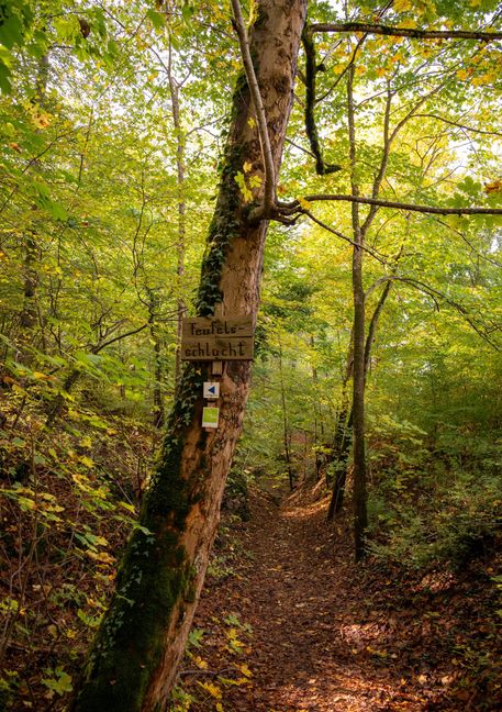 Die Teufelsschlucht hat diesem Premiumwanderweg ihren Namen gegeben.