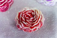 Viel zu sehen gab es in der Legendenhalle.