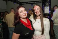 Beste Stimmung beim Althengstetter Narrenball.