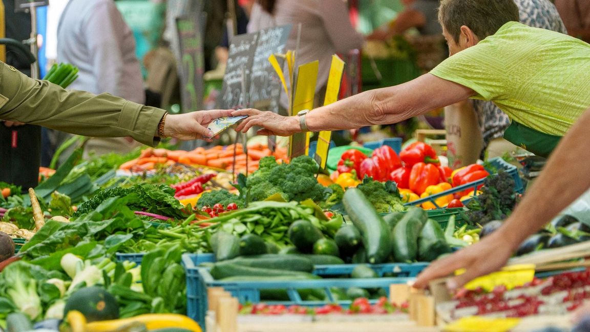 Bei Salat liegt der deutsche Selbstversorgungsgrad etwas höher als bei anderen Gemüsearten. (Archivbild)