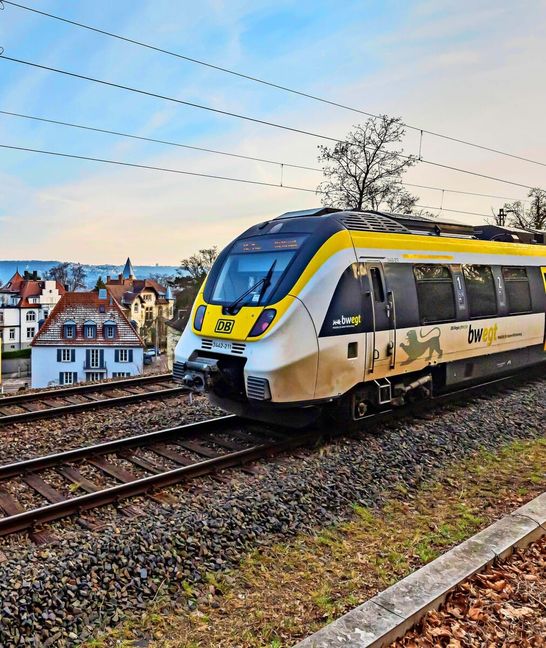 Anstatt wie bisher Züge sollen in Zukunft die S-Bahnen der neuen Linie über die Panoramabahn fahren.