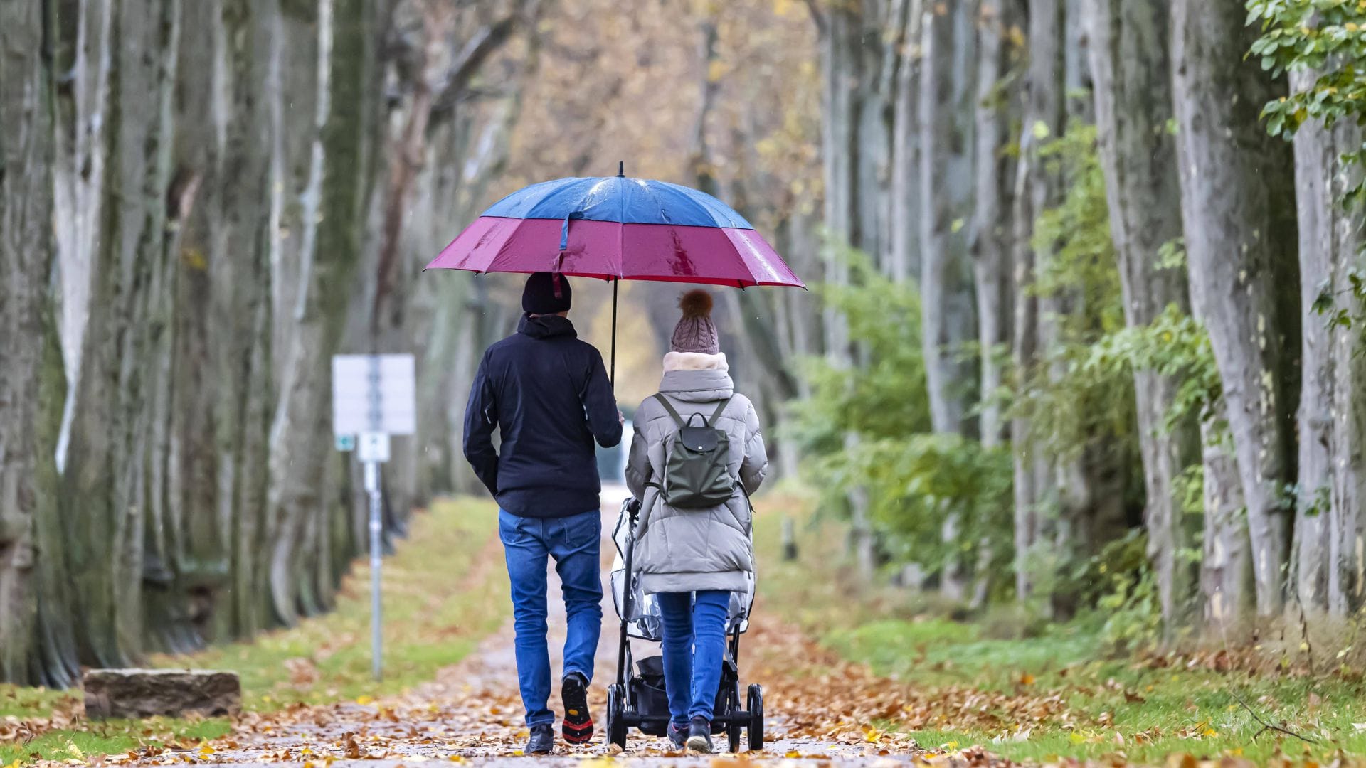 Laut DWD muss im Südwesten bis zum Wochenende immer wieder mit Regen gerechnet werden (Symbolfoto).