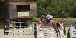 Ab heute geht es in Ehningen wieder in den Springparcours.