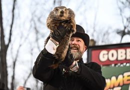 Groundhog Day 2023: Punxsutawney Phil sagt 6 weitere Wochen Winter voraus - so wie in diesem Jahr auch.