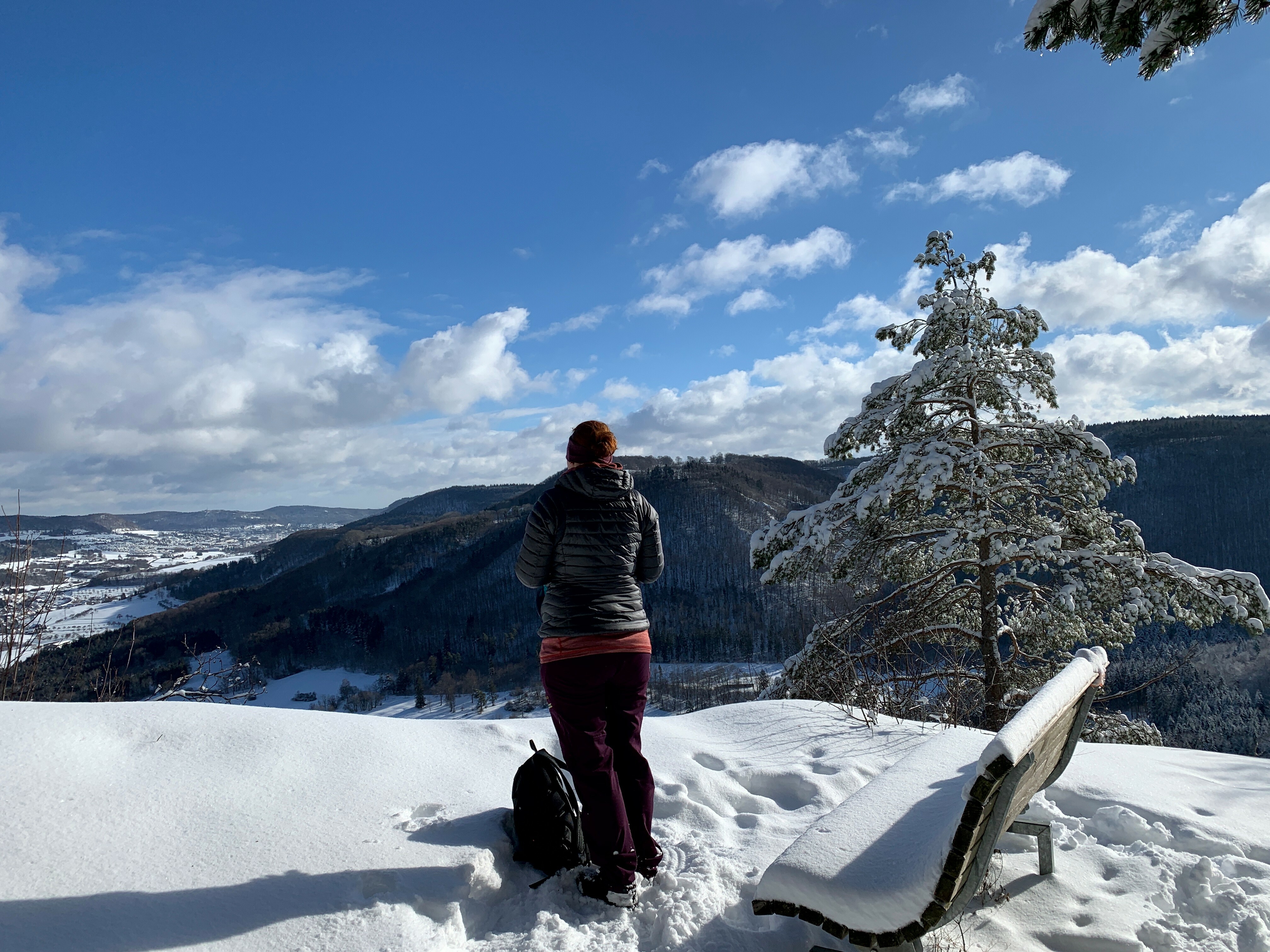 Winterwandern am Albtrauf.
