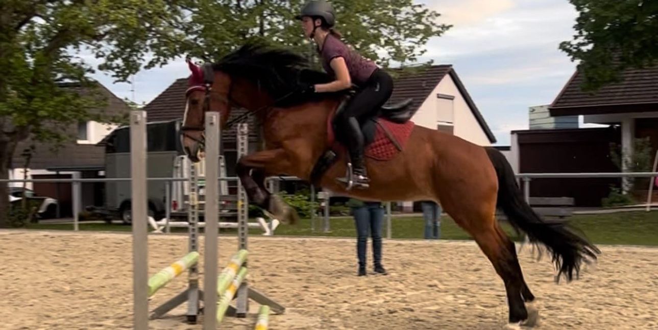 Auch wenn Mira Poleschner hier über ein Hindernis springt, Am Sonntag tritt sie in der E-Dressur an:  „In der letzten Reitstunde hat es echt gut geklappt.“Bild: z