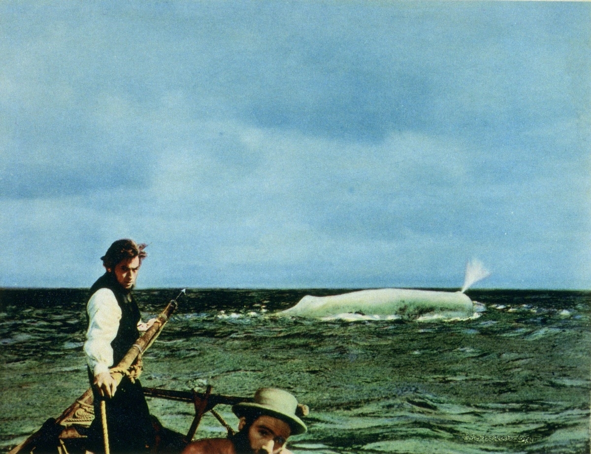 Gleich hat er ihn: Käpt'n Ahab (Gregory Peck) und „Moby Dick“, der legendäre weiße Wal.   Bild: z