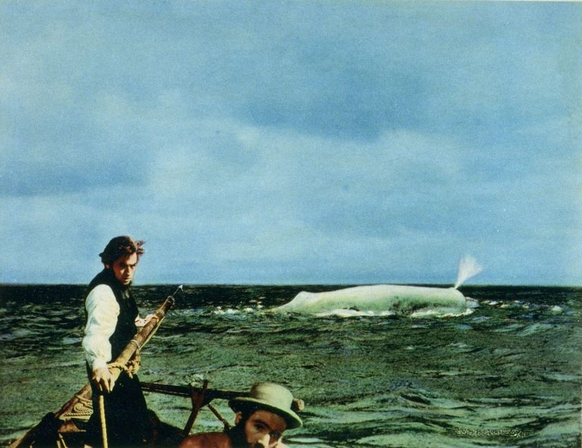 Gleich hat er ihn: Käpt'n Ahab (Gregory Peck) und „Moby Dick“, der legendäre weiße Wal. Bild: z