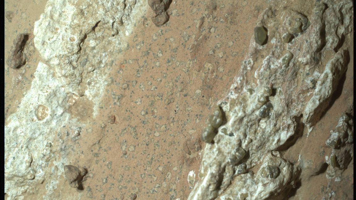 Eine vom Nasa-Rover "Perseverance" im vergangenen Jahr auf dem Mars entnommene Gesteinsprobe könnte nach Angaben der US-Raumfahrtbehörde möglicherweise Spuren von früherem mikrobiellen Leben enthalten.