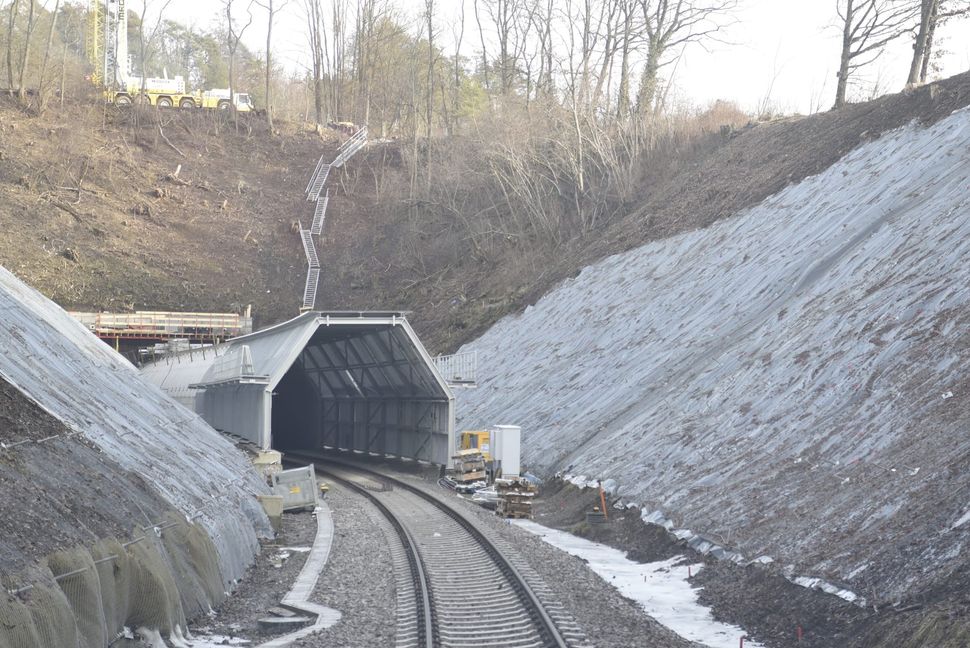 Auf beiden Seiten der historischen Tunnelröhren wurden zum Schutz der Fledermäuse 80 Meter lange Vorbauten angebracht und die Hänge zum Gleiskörper von Bäumen und Büschen befreit.