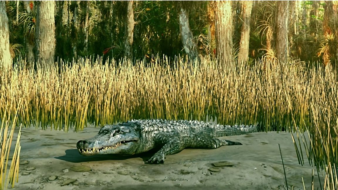 Rekonstruktion von Diplocynodon an der Küste von Hernals (heute Wien) vor 12,2 Millionen Jahren.